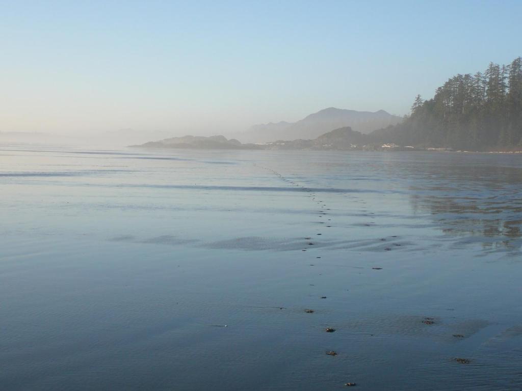 203 At Water'S Edge Apartment Ucluelet Luaran gambar